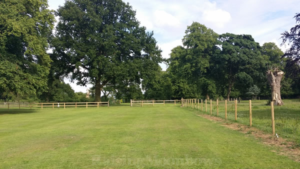 Camping Field